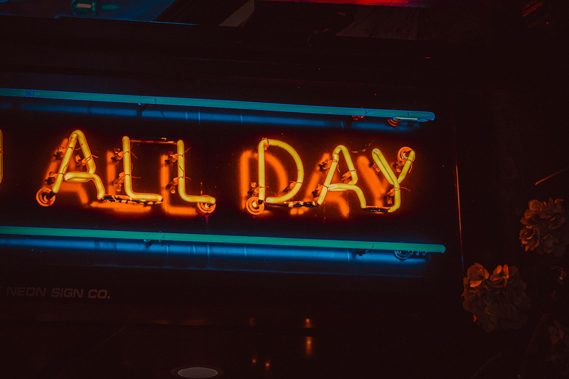 Neon sign saying ALL DAY